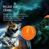 Dog Comets Meteor - Orange - L