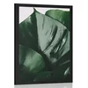 Plakat list monstere - 30x45 no frame