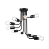 Plafonski luster TRINITY 10xE27/15W/230V, crne boje