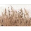 artgeist Fototapeta Tall Grasses, 450x315cm