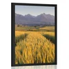 Plakat sončni zahod nad pšeničnim poljem - 30x45 no frame