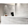 SILVER GREY DC 60x120