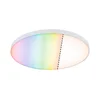 Paulmann 79929 - LED/22W RGBW Prigušiva plafonska lampa LORIA 230V