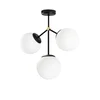 Opviq Damar 6336 Luster, Crno-beli