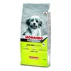 MORANDO Hrana za male rase pasa Mini Pro Vital, Govedina, 15kg