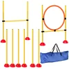 PawHut PawHut Agility komplet za pse, 3-delna polnilna agility oprema za šolanje psov, (5000239961)