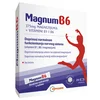 Inpharm MagnumB6 magnezijum, 20 kesica