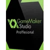 GameMaker: Studio Professional Key GLOBAL