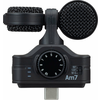 Zoom Am7