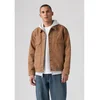 Levis WESTERN SHORTHORN TRK Kostanjeva