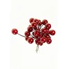 Lilium buket crvene bobice 1x30, 16cm 585843