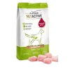 PLATINUM Suva hrana za pse sa osetljivim stomakom VetActive Sensitive, Ćuretina, 1.5 kg