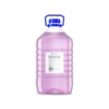 WC Sanitar Victory 5L