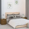 Vidaxl vidaXL Nočne omarice 2 kosa medeno rjave barve 40x34x45 cm borov les