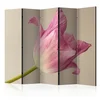artgeist Paravan Pink Tulip I, 5-Delni, Dvostranski