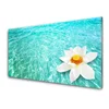 tulup.si Slika na steklu Voda flower art 125x50 cm 2 obešalnika