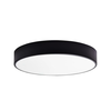 LED kupatilsko plafonsko svetlo RENE LED/15W/230V IP44 crno