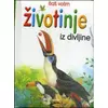 Baš volim životinje iz divljine - Tukan