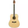 Peavey DW-01 akustična gitara