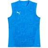 Dres Puma TeamCUP Training Longsleeve Jersey