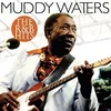 Muddy Waters - The R&B Hits (LP)