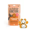 Schesir Functions Digestive Topper Pumpkin With Wheat Grass 40g, Dodatak Ishrani