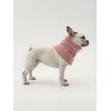 Sinsay - Ovratnik za psa - pastelno roze