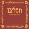 Nathan Salsburg - ????? = Psalms (LP)