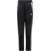 Hlače adidas TIRO24 WINPTY