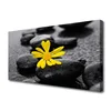 tulup.si Slika na platnu Yellow flower nature spa 140x70 cm