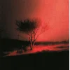 Joji - Piss In The Wind (LP)