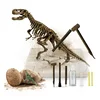 Aga4Kids Komplet za male paleontologe Triceratops