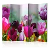 artgeist Paravan Beautiful Tulips I, 5-Delni, Dvostranski