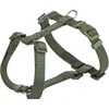 Trixie oprsnica za pse H Premium XS-S 30-44 cm/10 mm olivno zelena