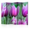 artgeist Paravan Purple Spring Tulips I, 5-Delni, Dvostranski