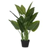 Ambia Home UMETNA RASTLINA 50/88/50 cm
