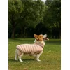 Sinsay - Kostim za psa - pastelno roze