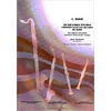 ROSE:20 GRANDES ETUDES