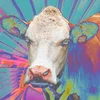 Eyes Of Others - Eyes Of Others (LP)