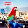 Antoine Corriveau - Oiseau de nuit (LP)
