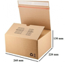 Škatla paketna samolepilna sendbox 260x220x130mm s30