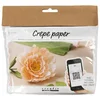 Mini ustvarjalni set | Papir iz krep papirja Peony
