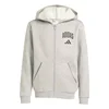 Adidas J CLGT FL FZ, dječija jakna, siva YY474