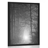 Plakat svetloba v gozdu v črnobeli varianti - 40x60 no frame