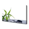 tulup.si Slika na platnu Leaf narava rastlinski stones 140x70 cm