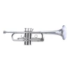 Trobenta CX5 Schilke