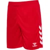 Moške kratke hlače hmlCORE 2.0 SHORTS