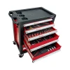 PROLINETECH Kolica sa alatom PLTP/SS-177, 6 fioka