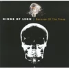Kings Of Leon - Because Of The Times
