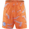 adidas Kratke hlače FC Schalke 04 Goalkeeper 2026/27
